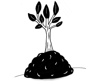 Was pflanzt Ecosia? Icon