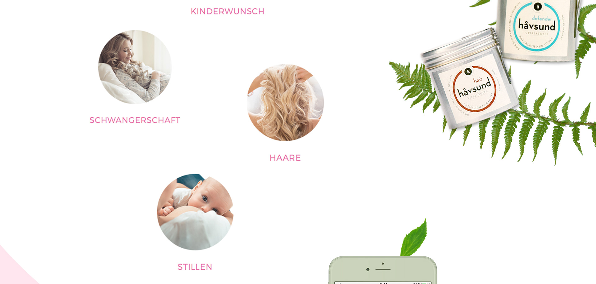 Havsund E-Commerce Design - SANMIGUEL - Heilpflanzen Havsund E-Commerce Design - SANMIGUEL Designagentur