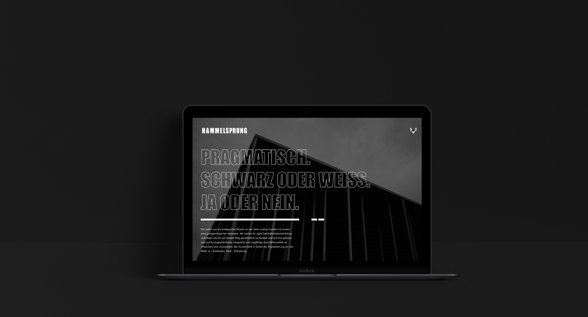 Hammelsprung Screendesign - Branding | SANMIGUEL Design Agentur Muenchen Hammelsprung corporate identity sanmiguel 09
