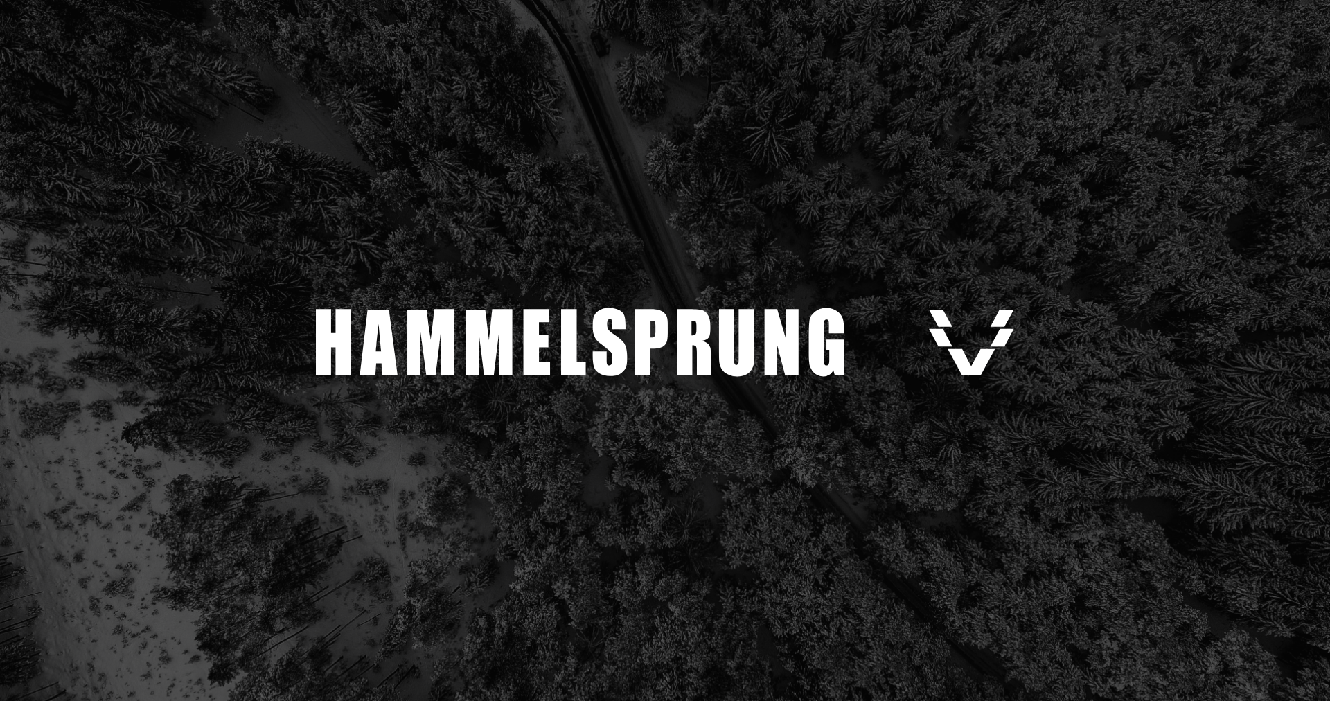 Hammelsprung - Branding | SANMIGUEL Design Agentur Muenchen Hammelsprung Branding | Agentur