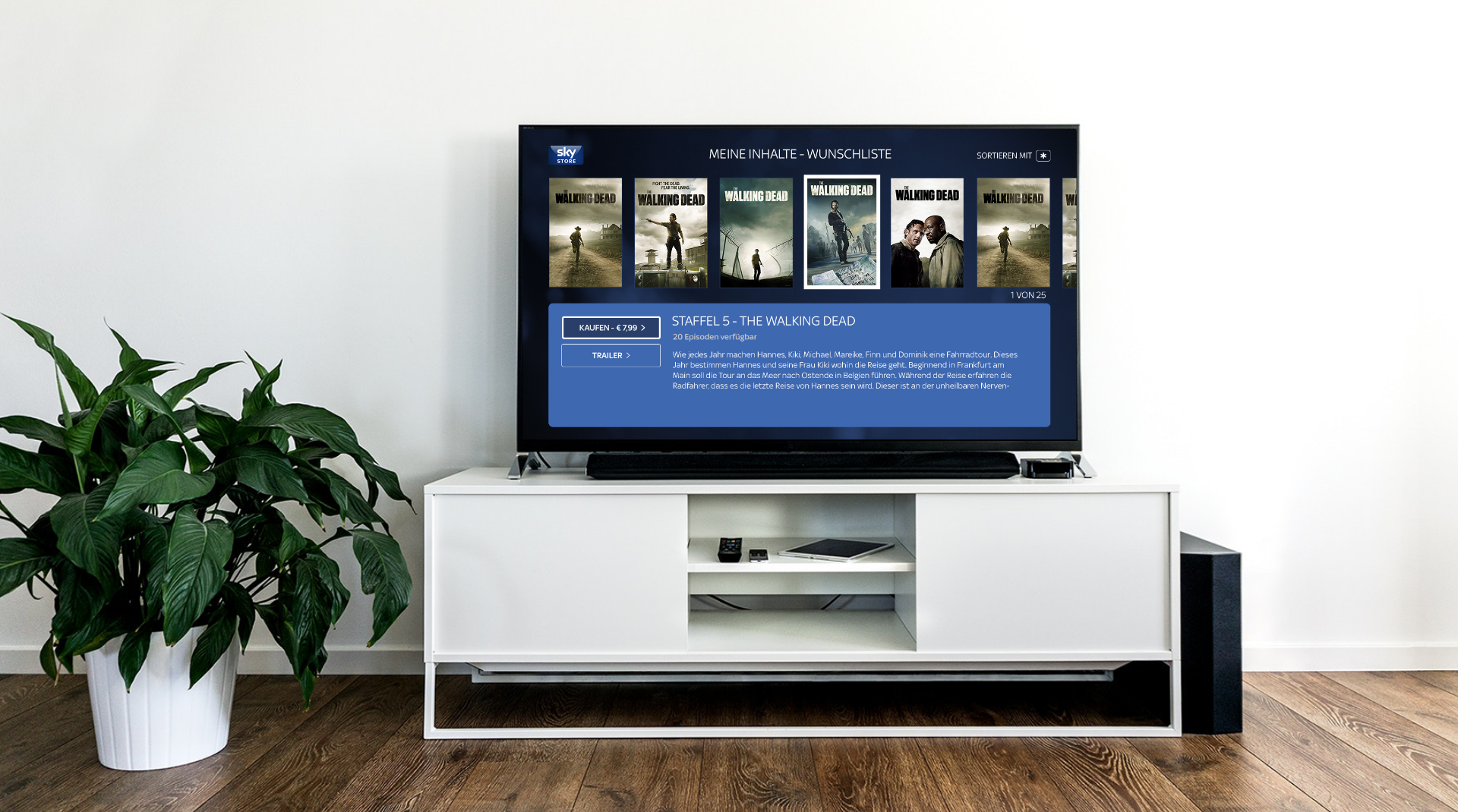 Sanmiguel sky roku interface design 01