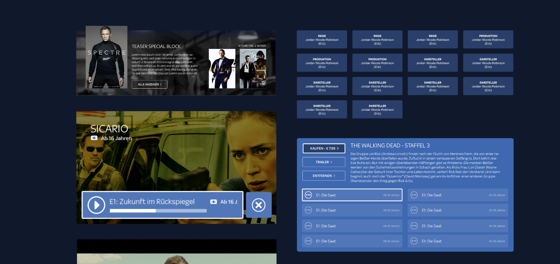 Sanmiguel sky roku interface design 11
