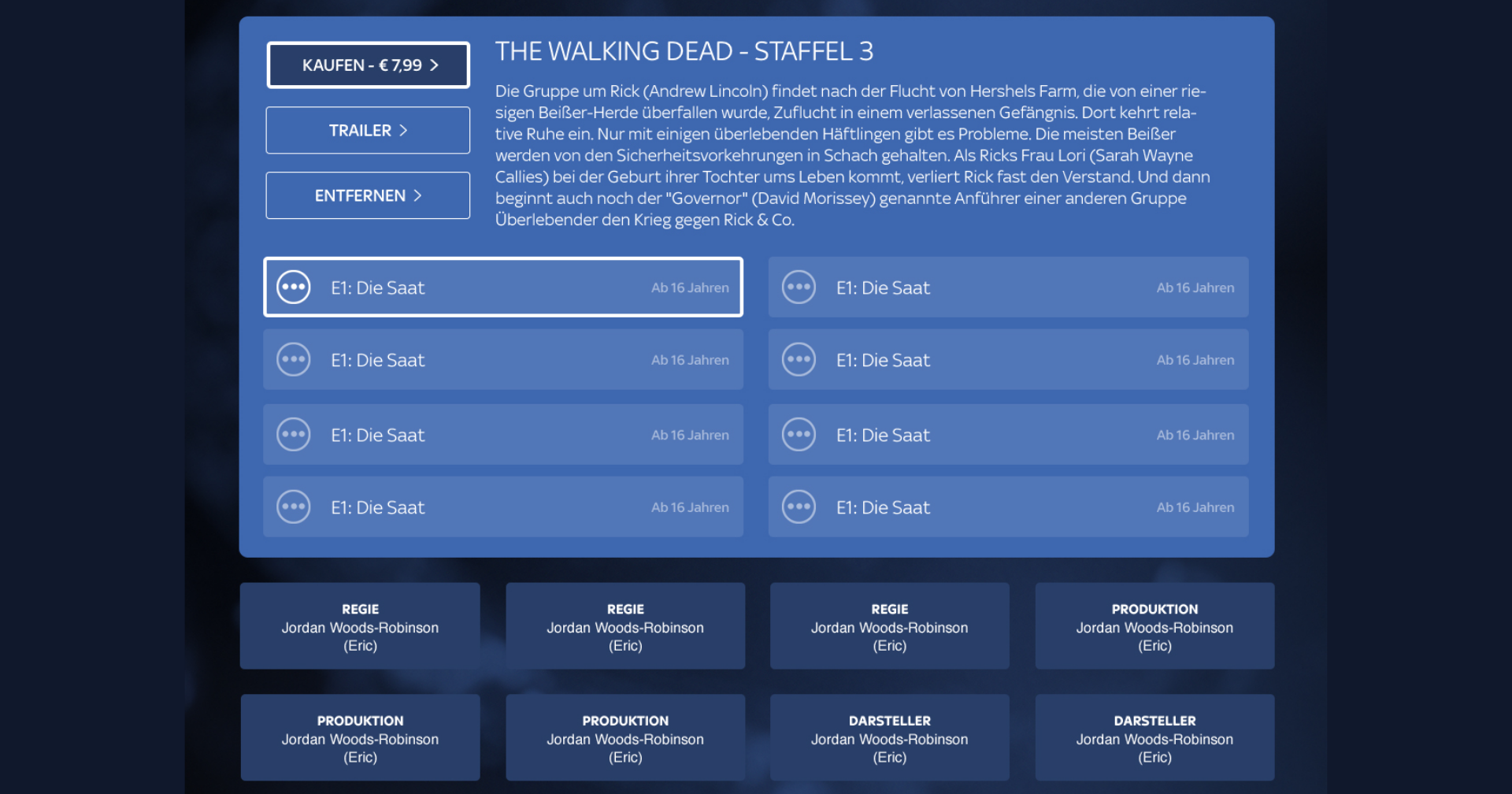 Sanmiguel sky roku interface design 08