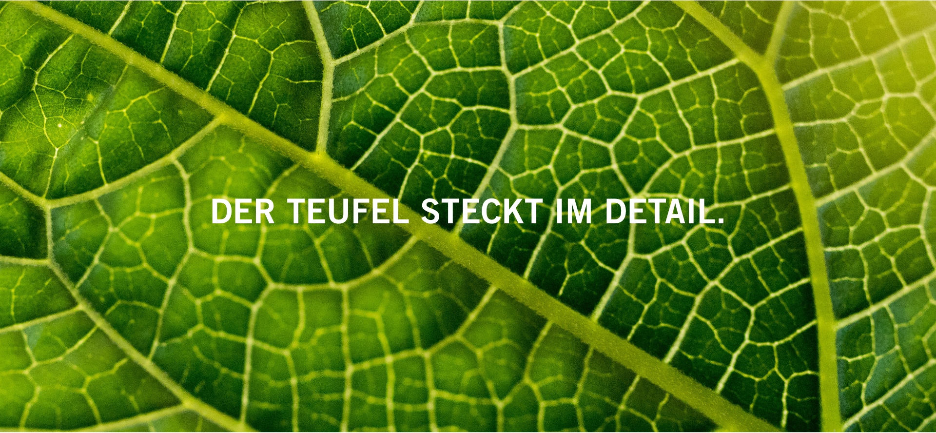 Marken Positionierung 