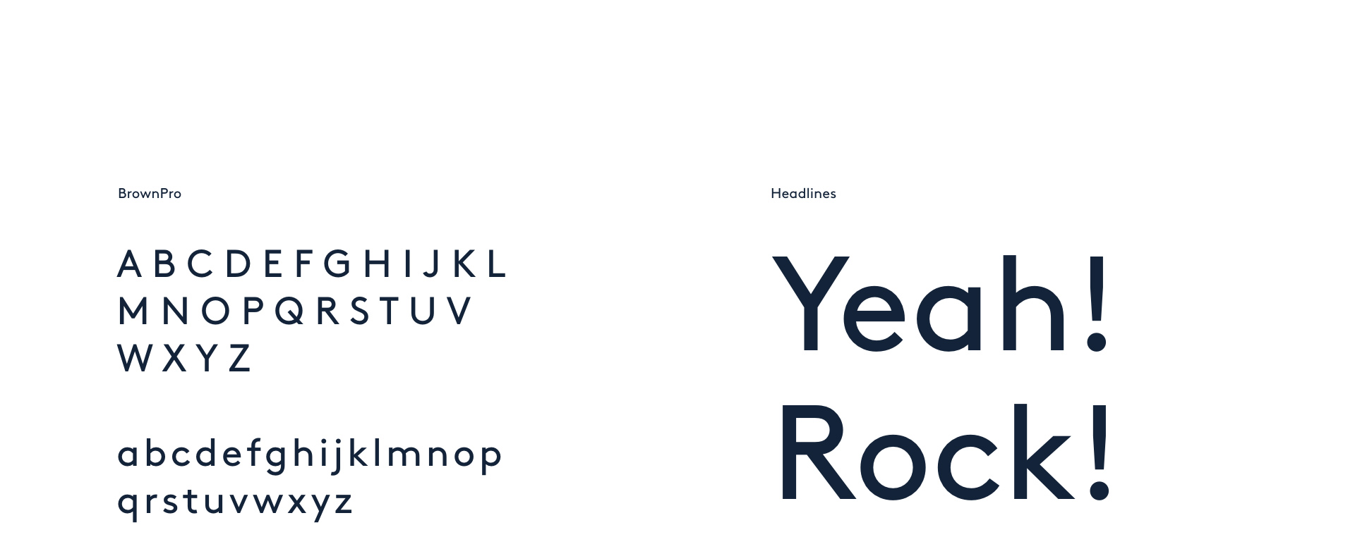 Hotelbird | Sanmiguel Brand Partner | Munich |Typography Hotelbird 19