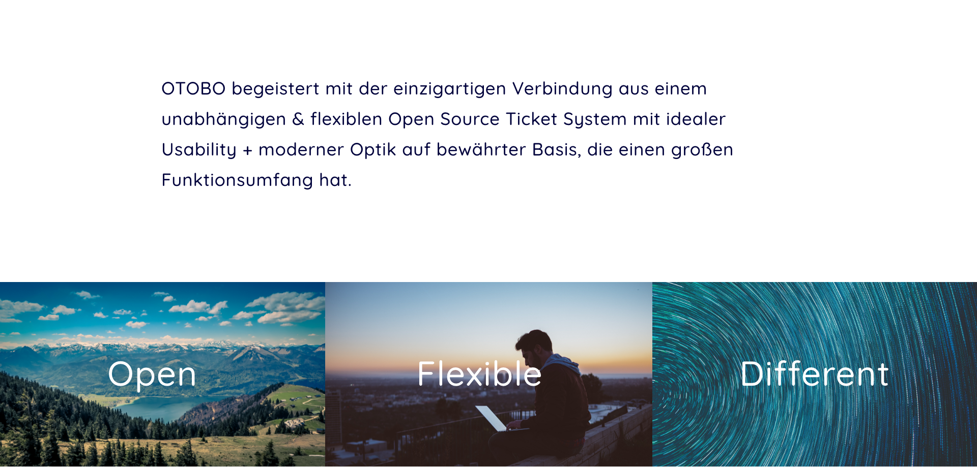 OTOBO | SANMIGUEL | User Interface Design | Munich 02 interface branding otobo sanmiguel muenchen