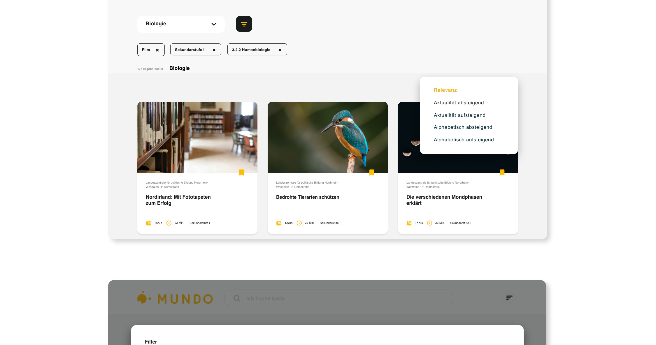 Mundo schule branding ux sanmiguel 13