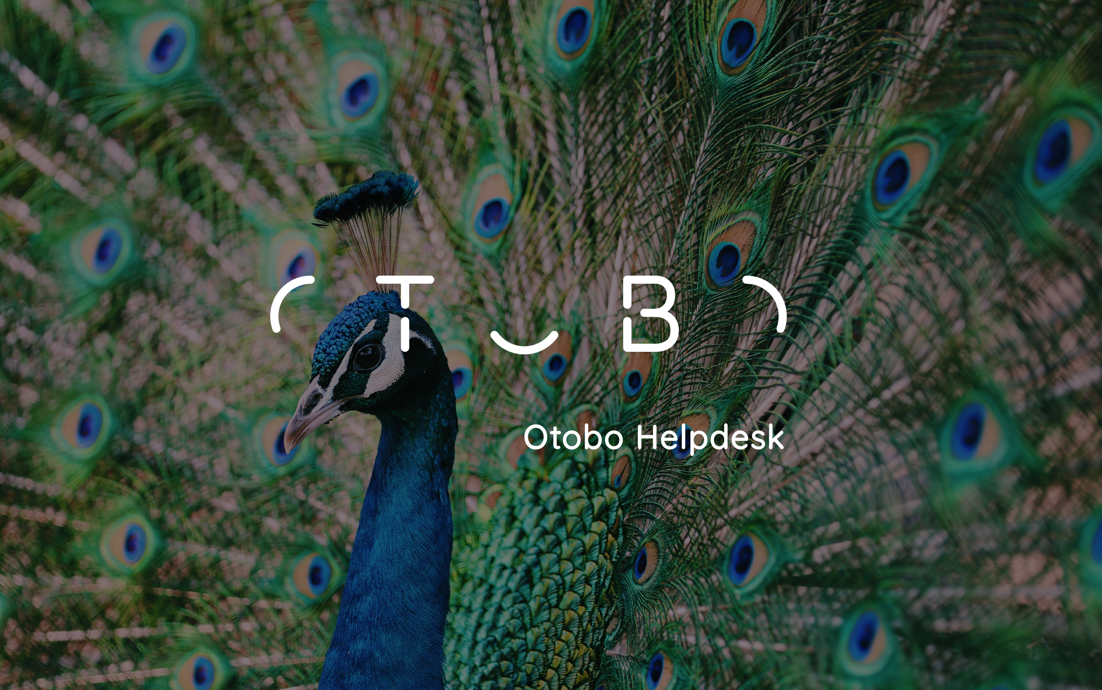 OTOBO | SANMIGUEL | User Interface Design | Munich Otobo keyvisual-